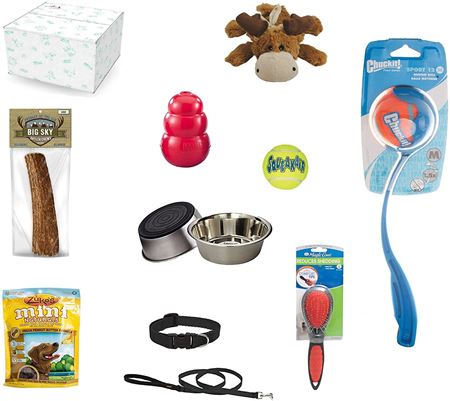 Picture for category Dog Essentials